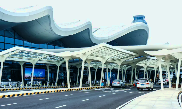 Internationale luchthaven Nanjing Lukou