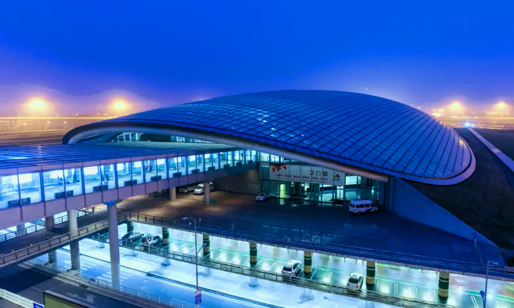 Internationale luchthaven Shenyang Taoxian