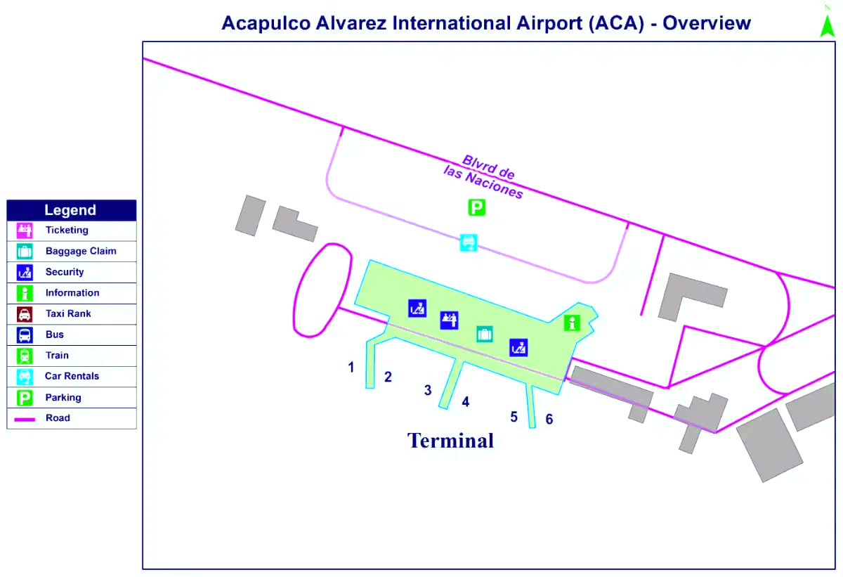 Internationale luchthaven Generaal Juan N. Álvarez