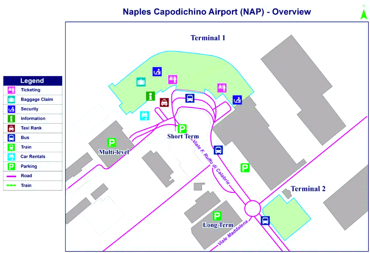 Internationale luchthaven van Napels