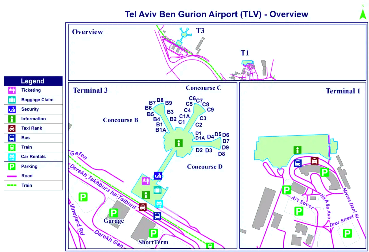 Internationale luchthaven Ben-Gurion